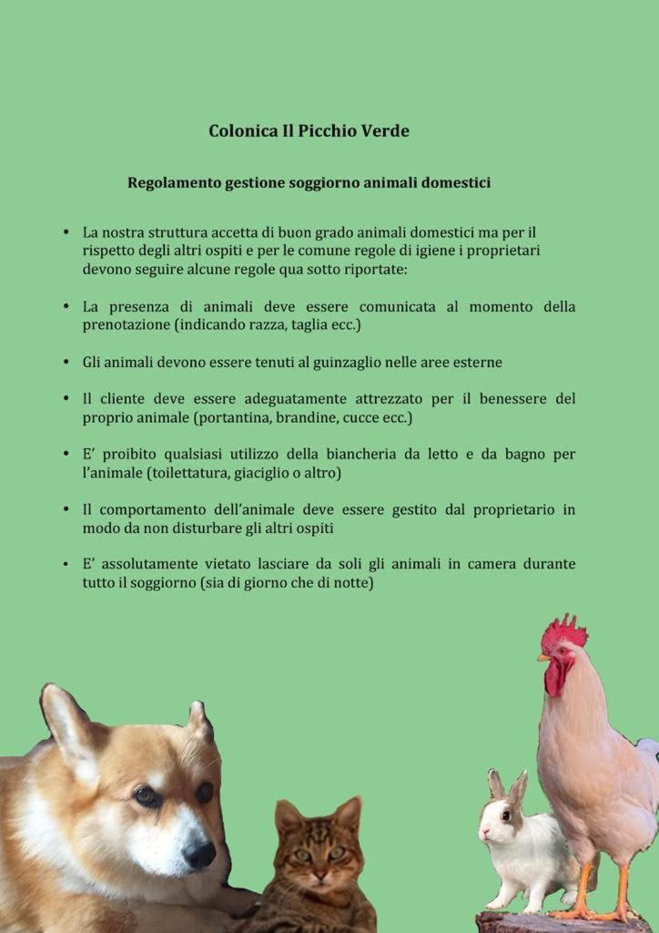 Appartamento Il Picchio Verde ألتوباشو المظهر الخارجي الصورة