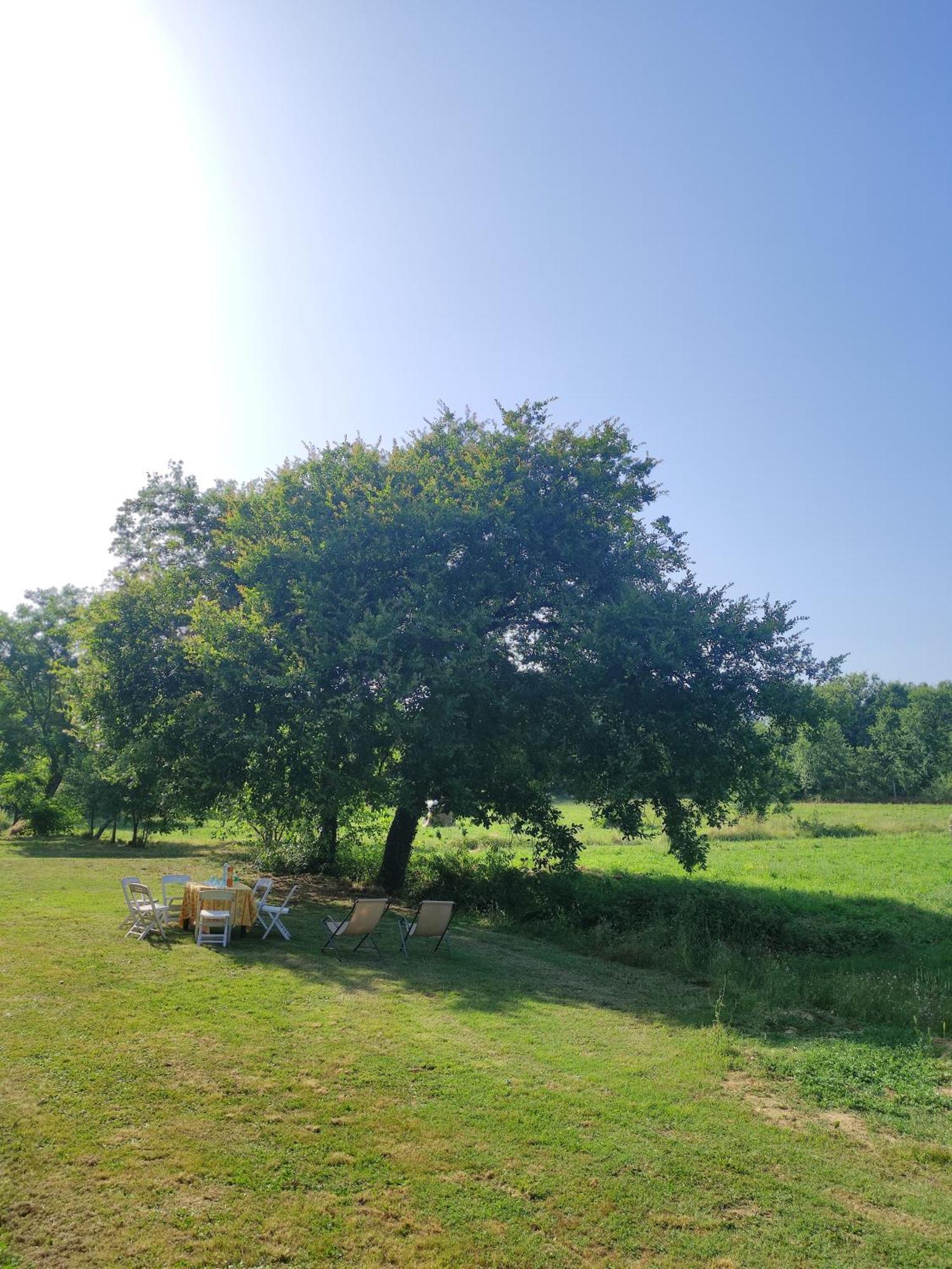 Appartamento Il Picchio Verde ألتوباشو المظهر الخارجي الصورة